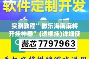 实测教程”微乐海南麻将开挂神器”(透视挂)详细使用教程