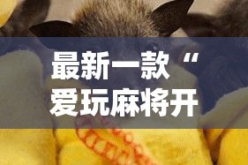 最新一款“爱玩麻将开挂神器下载软件”其实确实有挂