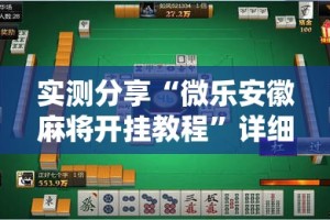 实测分享“微乐安徽麻将开挂教程”详细分享装挂步骤