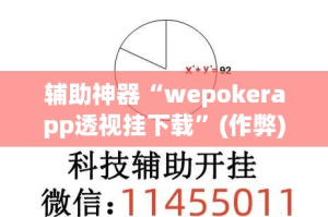 辅助神器“wepokerapp透视挂下载”(作弊)辅助透视教程