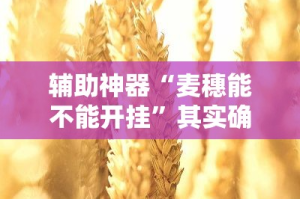 辅助神器“麦穗能不能开挂”其实确实有挂