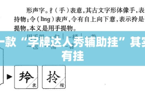最新一款“字牌达人秀辅助挂”其实确实有挂