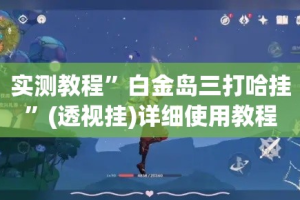 实测教程”白金岛三打哈挂”(透视挂)详细使用教程