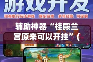 辅助神器“桂殿兰宫原来可以开挂”(作弊)辅助透视教程