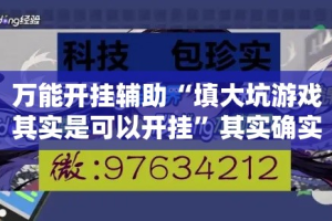 万能开挂辅助“填大坑游戏其实是可以开挂”其实确实有挂