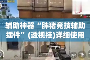 辅助神器“胖猪竞技辅助插件”(透视挂)详细使用教程