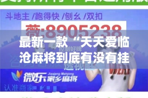 最新一款“天天爱临沧麻将到底有没有挂”(作弊)辅助透视教程