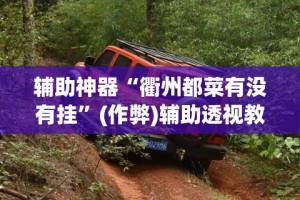 辅助神器“衢州都菜有没有挂”(作弊)辅助透视教程