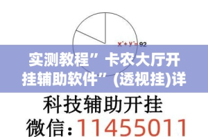 实测教程”卡农大厅开挂辅助软件”(透视挂)详细使用教程