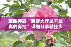 辅助神器“芙蓉大厅是不是真的有挂”详细分享装挂步骤