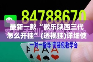 最新一款“微乐陕西三代怎么开挂”(透视挂)详细使用教程