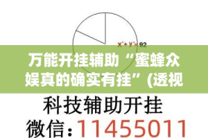 万能开挂辅助“蜜蜂众娱真的确实有挂”(透视挂)详细使用教程