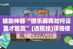 辅助神器“微乐麻将如何设置才能赢”(透视挂)详细使用教程