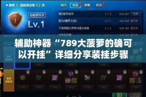 辅助神器“789大菠萝的确可以开挂”详细分享装挂步骤
