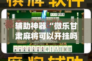 辅助神器“微乐甘肃麻将可以开挂吗”(作弊)辅助透视教程