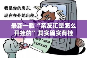 最新一款“亲友汇是怎么开挂的”其实确实有挂