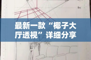 最新一款“椰子大厅透视”详细分享装挂步骤