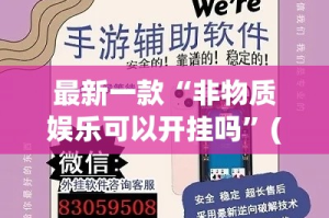 最新一款“非物质娱乐可以开挂吗”(透视挂)详细使用教程