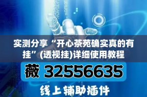 实测分享“开心茶苑确实真的有挂”(透视挂)详细使用教程