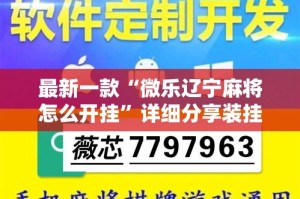 最新一款“微乐辽宁麻将怎么开挂”详细分享装挂步骤