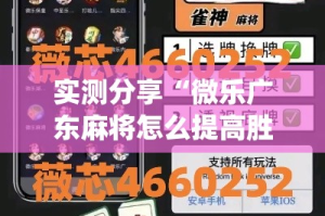 实测分享“微乐广东麻将怎么提高胜率”(透视挂)详细使用教程