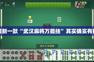 最新一款“武汉麻将万能挂”其实确实有挂