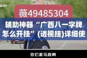辅助神器“广西八一字牌怎么开挂”(透视挂)详细使用教程