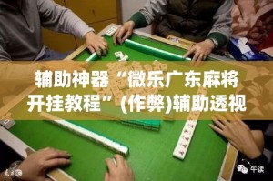 辅助神器“微乐广东麻将开挂教程”(作弊)辅助透视教程