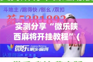 实测分享“微乐陕西麻将开挂教程”(透视挂)详细使用教程