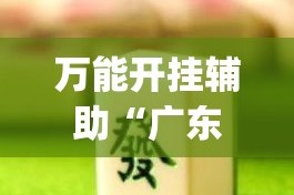 万能开挂辅助“广东雀神麻将开挂器视频教程”(作弊)辅助透视教程