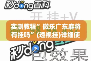 实测教程”微乐广东麻将有挂吗”(透视挂)详细使用教程