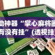 辅助神器“掌心麻将圈到底有没有挂”(透视挂)详细使用教程