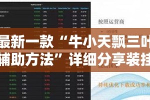 最新一款“牛小天飘三叶辅助方法”详细分享装挂步骤
