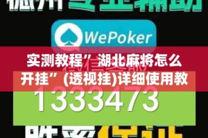 实测教程”湖北麻将怎么开挂”(透视挂)详细使用教程