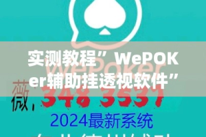 实测教程”WePOKer辅助挂透视软件”(作弊)辅助透视教程