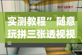 实测教程”随意玩拼三张透视视频”(透视挂)详细使用教程
