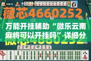 万能开挂辅助“微乐云南麻将可以开挂吗”详细分享装挂步骤