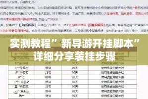 实测教程”新导游开挂脚本”详细分享装挂步骤