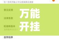 万能开挂辅助“随意玩拼三张能开挂吗”详细分享装挂步骤