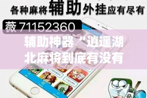 辅助神器“逍遥湖北麻将到底有没有挂”(作弊)辅助透视教程