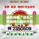 辅助神器“微乐广西麻将小程序开挂神器”其实确实有挂