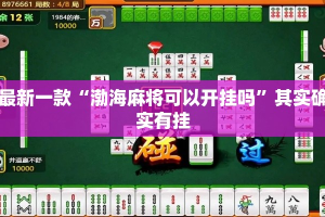 最新一款“渤海麻将可以开挂吗”其实确实有挂