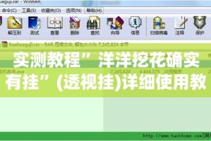 实测教程”洋洋挖花确实有挂”(透视挂)详细使用教程