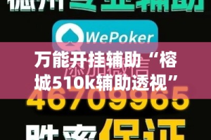 万能开挂辅助“榕城510k辅助透视”(透视挂)详细使用教程
