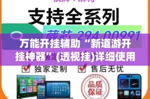 万能开挂辅助“新道游开挂神器”(透视挂)详细使用教程