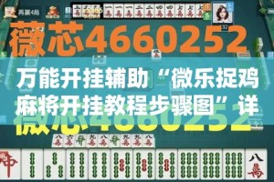 万能开挂辅助“微乐捉鸡麻将开挂教程步骤图”详细分享装挂步骤