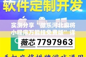 实测分享“微乐河北麻将小程序万能挂免费版”详细分享装挂步骤