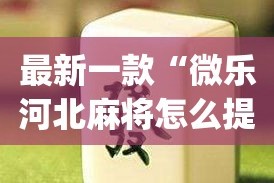 最新一款“微乐河北麻将怎么提高胜率”(作弊)辅助透视教程