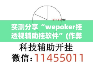 实测分享“wepoker挂透视辅助挂软件”(作弊)辅助透视教程