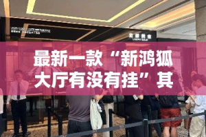 最新一款“新鸿狐大厅有没有挂”其实确实有挂